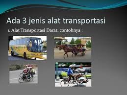 trans (73)